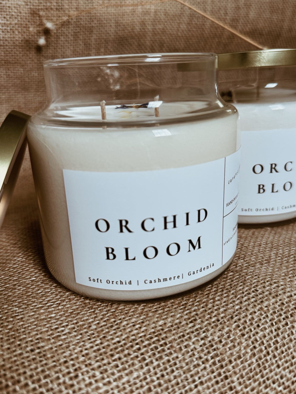 Orchid Bloom