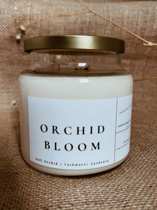 Orchid Bloom